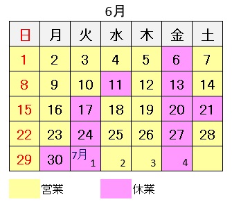 久喜市　遠隔治療　イネイト活性療法　12月の予定
