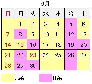 久喜市　遠隔治療　イネイト活性療法　12月の予定