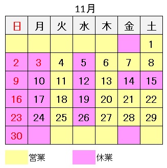 久喜市　遠隔治療　イネイト活性療法　12月の予定