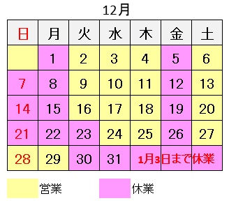 久喜市　遠隔治療　イネイト活性療法　12月の予定