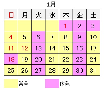 久喜市　遠隔治療　イネイト活性療法　12月の予定
